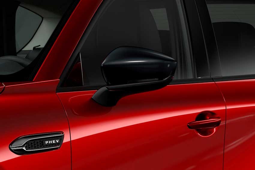 Door Mirror Garnish
