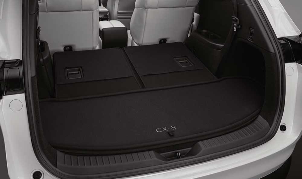 LUGGAGE ROOM TRAY
